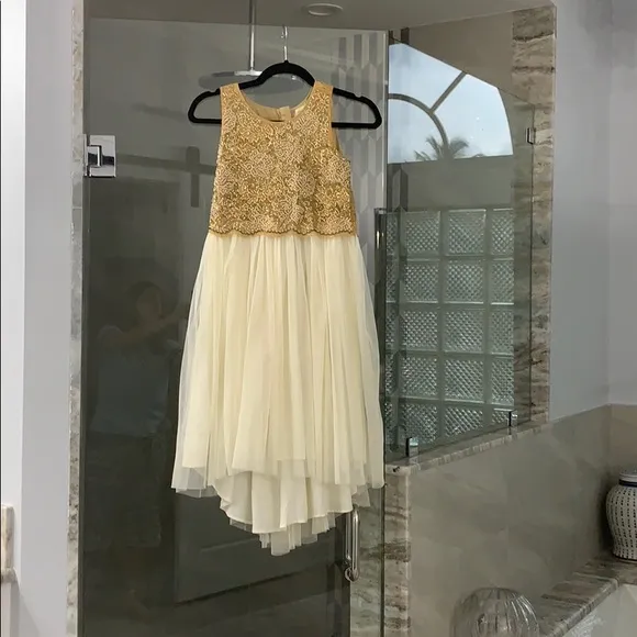 A beautiful Gold and White dress