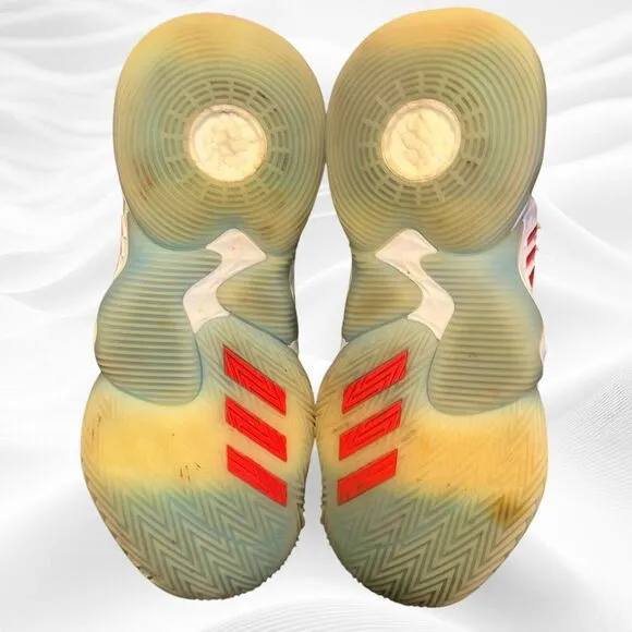 Adidas Trae Young 1 Ice Trae Polar Bear 2021 Signature Series‎ Basketball 8.5