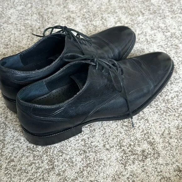Cole Haan Modern Essentials Waterproof Cap Toe Oxfords 12