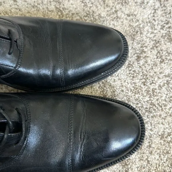 Cole Haan Modern Essentials Waterproof Cap Toe Oxfords 12