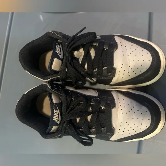 Dunk SB Low (5Y)