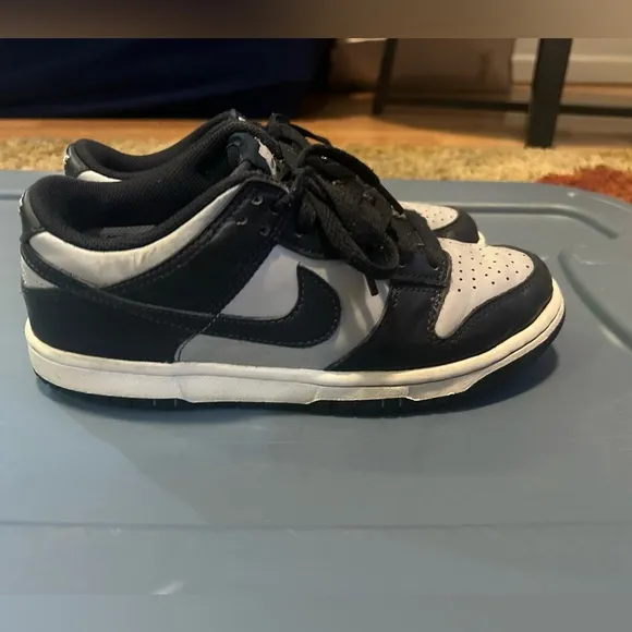 Dunk SB Low (5Y)