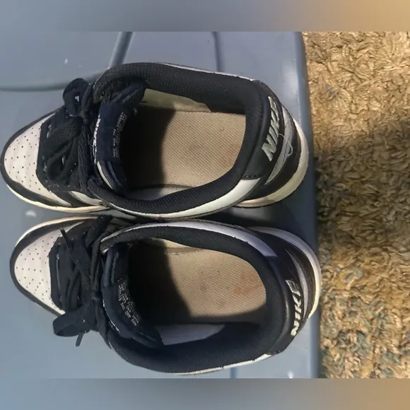 Dunk SB Low (5Y)