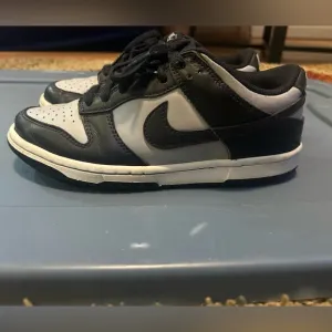 Dunk SB Low (5Y)