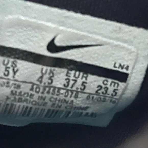 LeBron James Nike Tennis shoes Sneakers Youth Lebron Tropical Beach 5Y