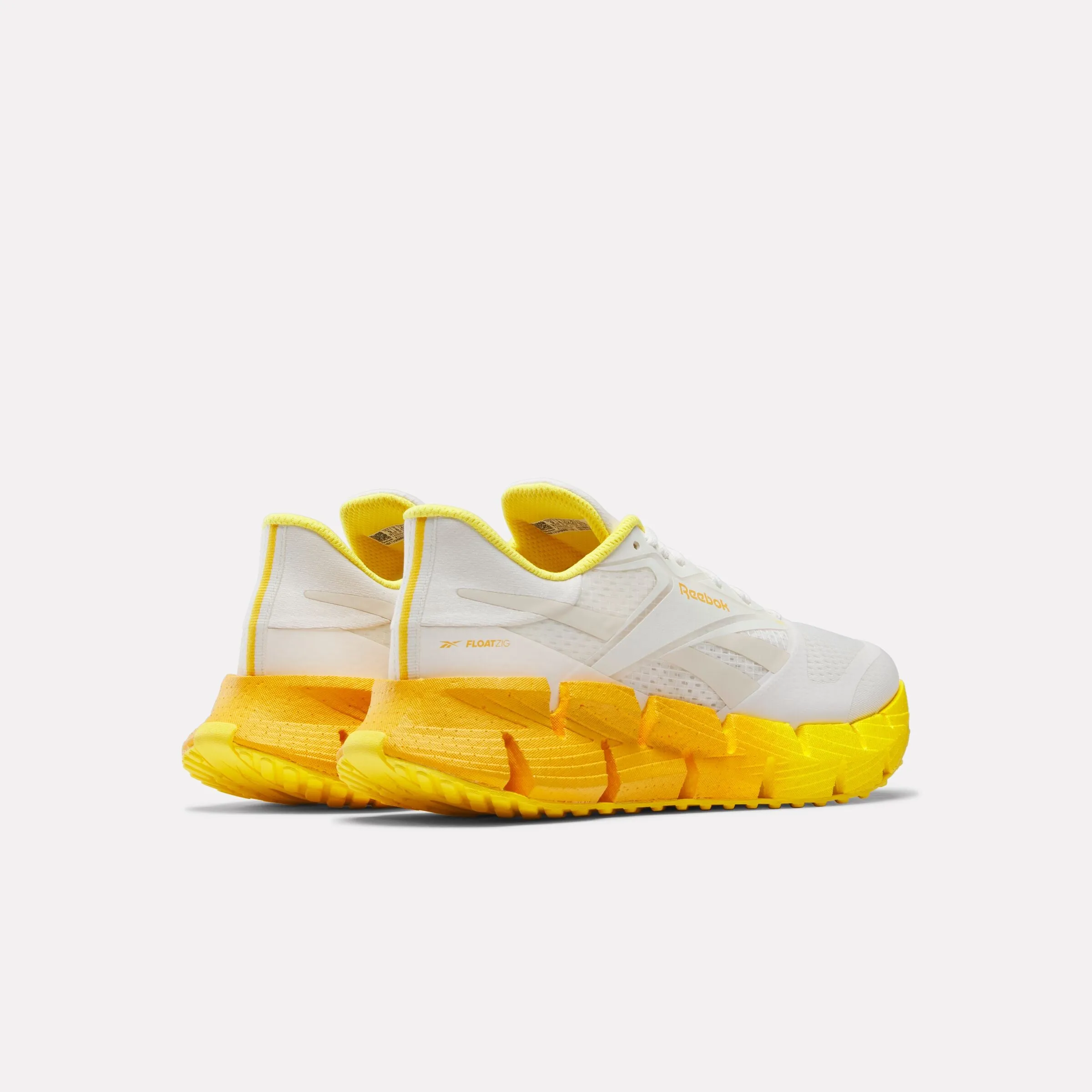 Men's FloatZig 1 Shoes