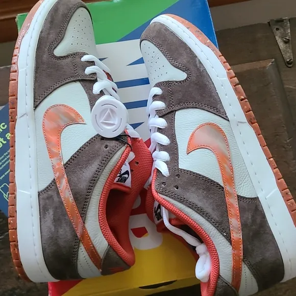 Men's NWT Nike dunk low sb pro qs shoes size 10.5