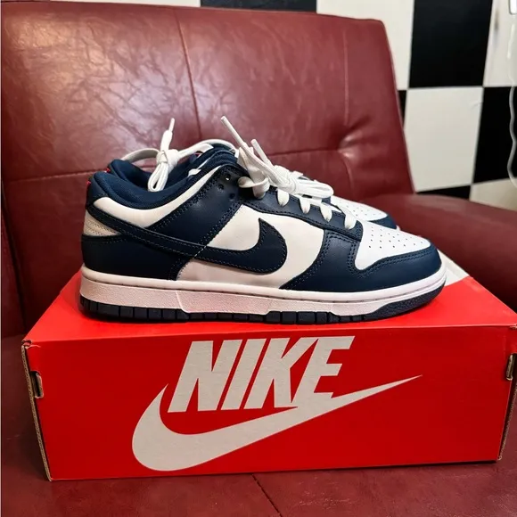 Nike dunk low valerian blue