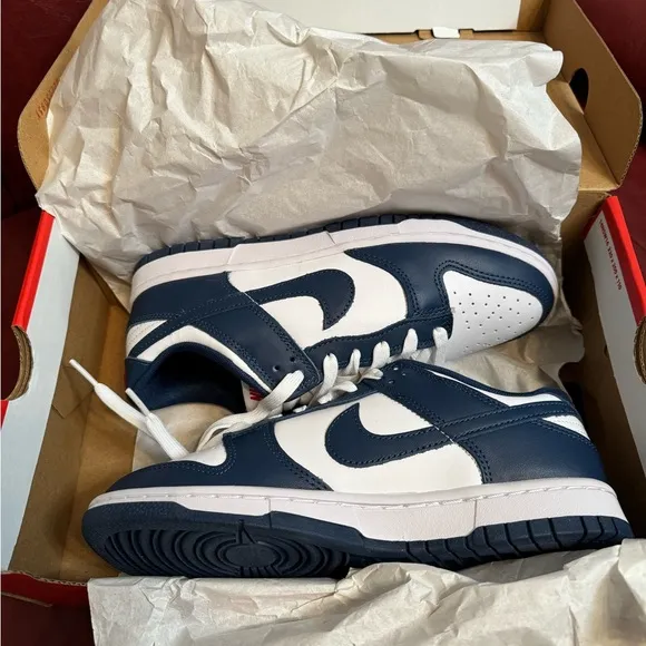 Nike dunk low valerian blue