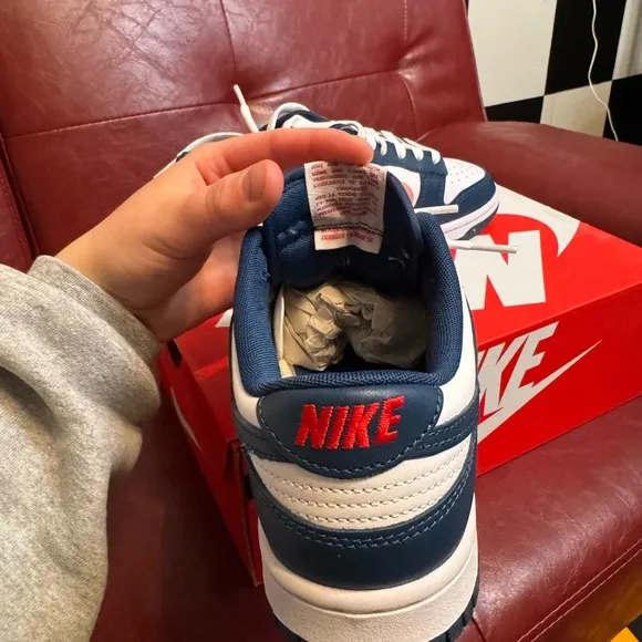 Nike dunk low valerian blue