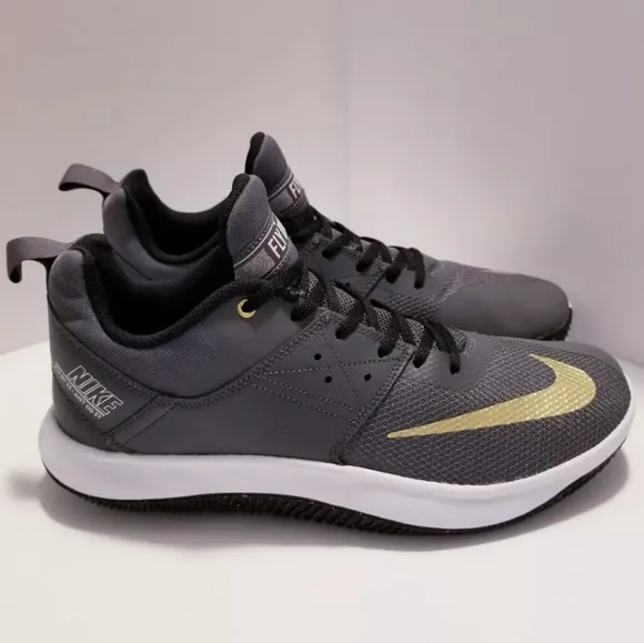 Nike Fly By Low 2 Men's Grey/Gold AJ5902-002 Shoes/Sneakers Size 12