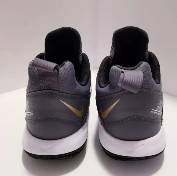 Nike Fly By Low 2 Men's Grey/Gold AJ5902-002 Shoes/Sneakers Size 12