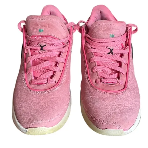 Nike LeBron 20 South Beast Premium Pink Animal Print Men's Tenis Shoes