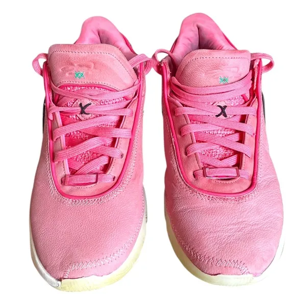 Nike LeBron 20 South Beast Premium Pink Animal Print Men's Tenis Shoes