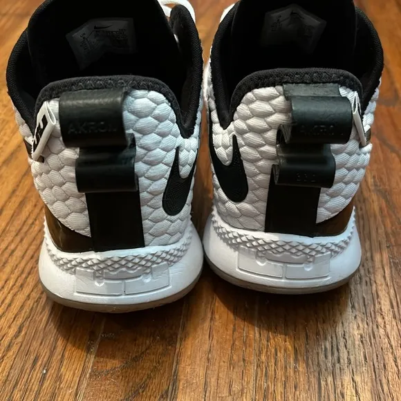 Nike lebron shoes