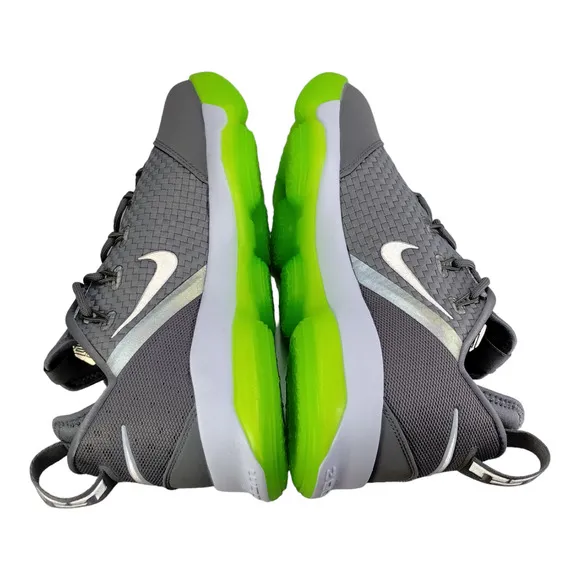 Nike Men's LeBron XIV Low Dunkman Dust Silver Basketball Shoes Mens 9.5 NWOT