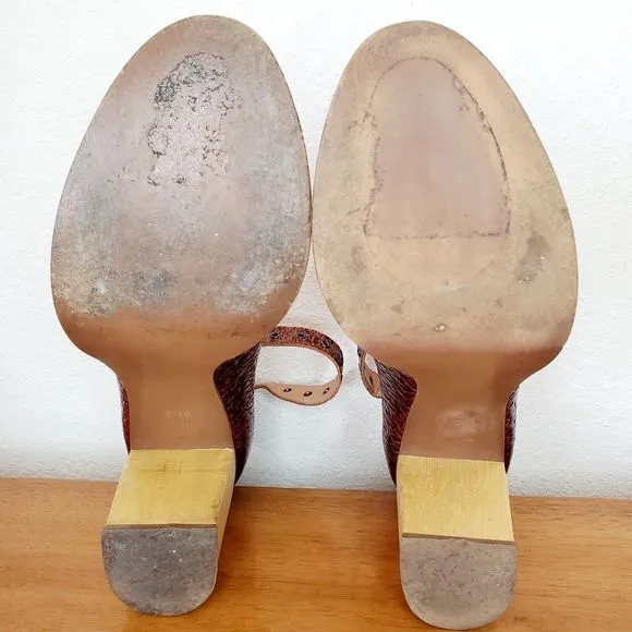 Schuler Sons Philadelphia Nalia Heels Brown Leather Chunky SZ 8.5 Anthropologie
