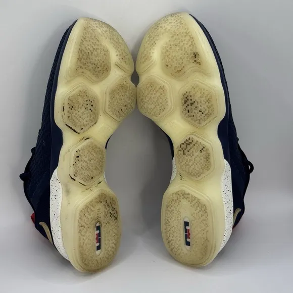 Size 10 - Nike Zoom LeBron ST Low Midnight Navy Metallic Gold 878636-400