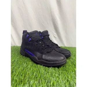 Size 8 - Air Jordan 12 Dark Concord CLEAN