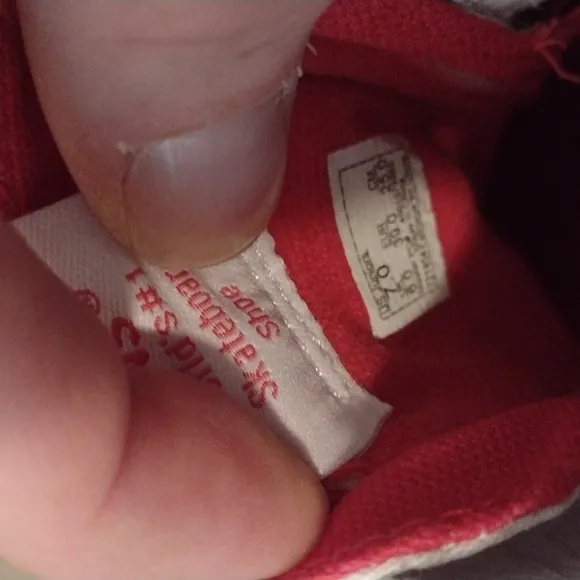 Vans Unicorn Wings Hi Top Shoes